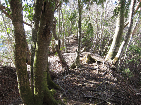 20200110hike (148)